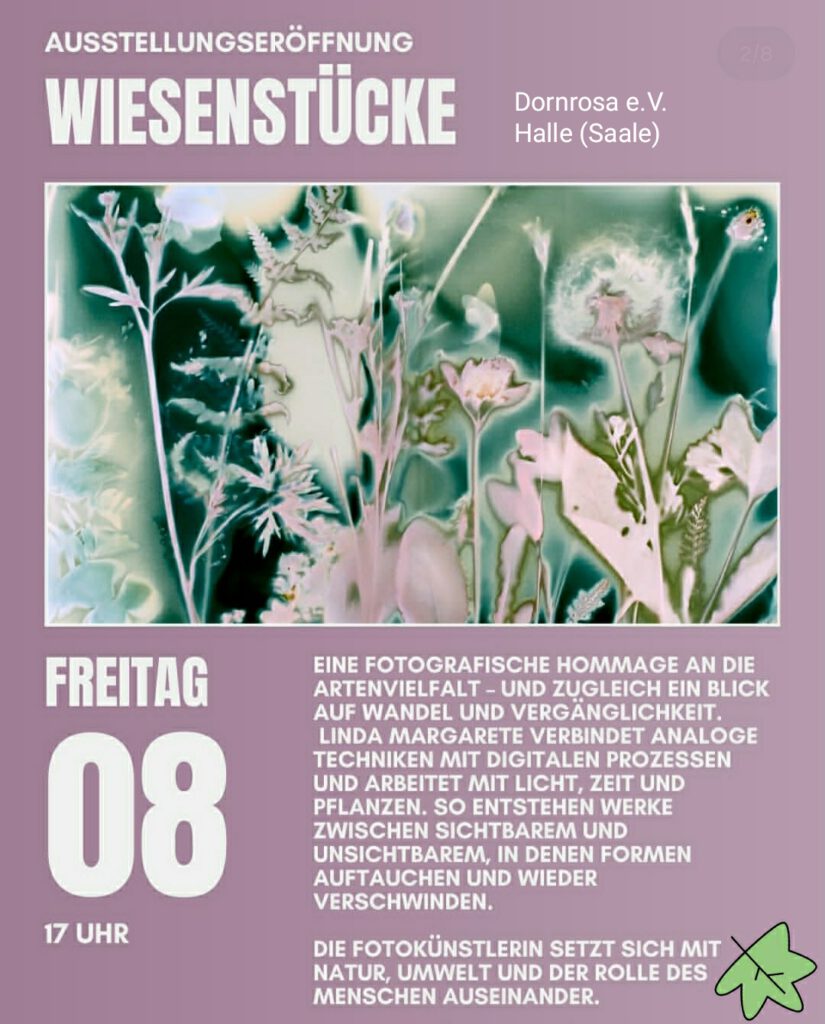 Dornrosa Frauenzentrum Halle